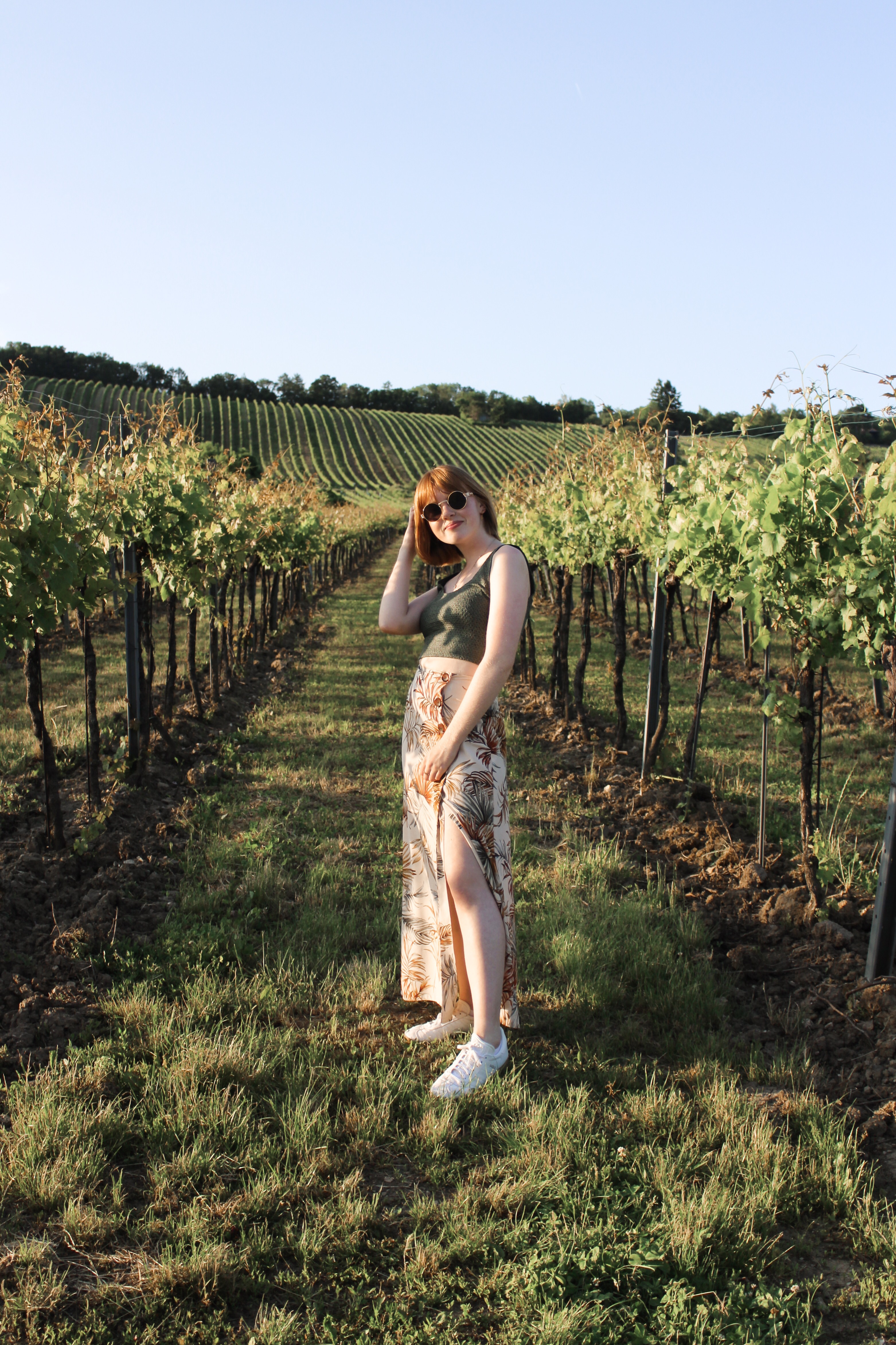 Three Perfect Days in Vienna: Dinner at the vineyards