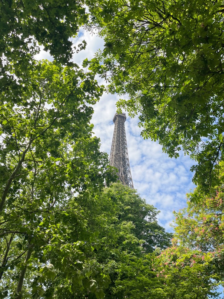the top eiffel tower framed by trees