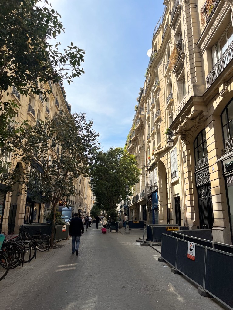 a pedestrianised street in paris with trees and traditional architecture
