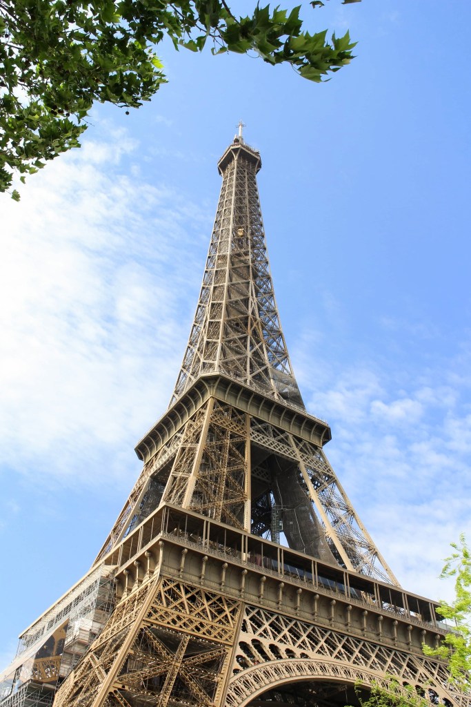the eiffel tower framed by trees