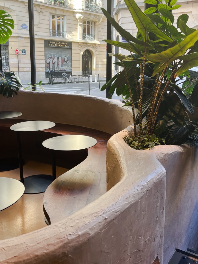 an organically designed interior space of a cafe. There is a bench sculpted to have a curved back, lots of natural light and plants everywhere